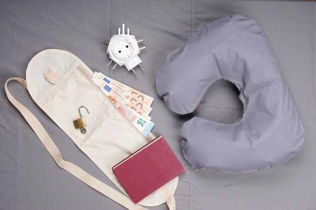 Accesorios imprescindibles para viajes largos en coche